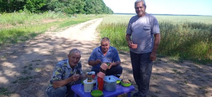 «Игенче» җәмгыяте аш-су осталары игенче-механизаторларны тәмле ризык белән сыйлыйлар