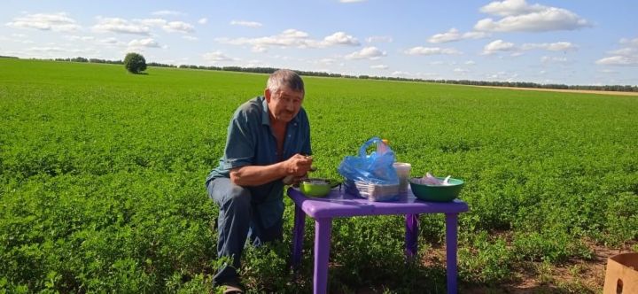 «Игенче» җәмгыяте аш-су осталары игенче-механизаторларны тәмле ризык белән сыйлыйлар