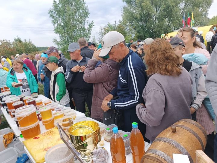 Региональ «Бал бәйрәме» – «Пчелотуй-2025»