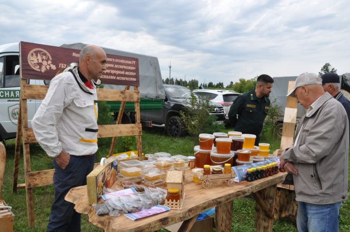 “Балның файдасын аңлап бетерсәләр, конфет янына якын бармаслар иде”