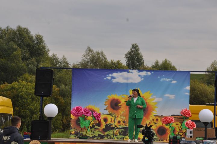 “Балның файдасын аңлап бетерсәләр, конфет янына якын бармаслар иде”