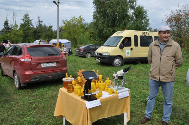 “Балның файдасын аңлап бетерсәләр, конфет янына якын бармаслар иде”