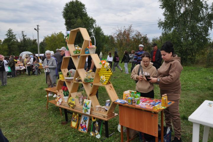 “Балның файдасын аңлап бетерсәләр, конфет янына якын бармаслар иде”