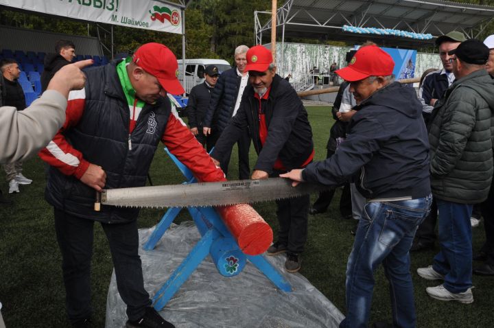 Өйләрне генә түгел, күңелләрне дә җылытучылар