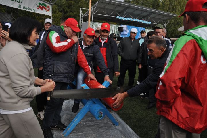 Өйләрне генә түгел, күңелләрне дә җылытучылар