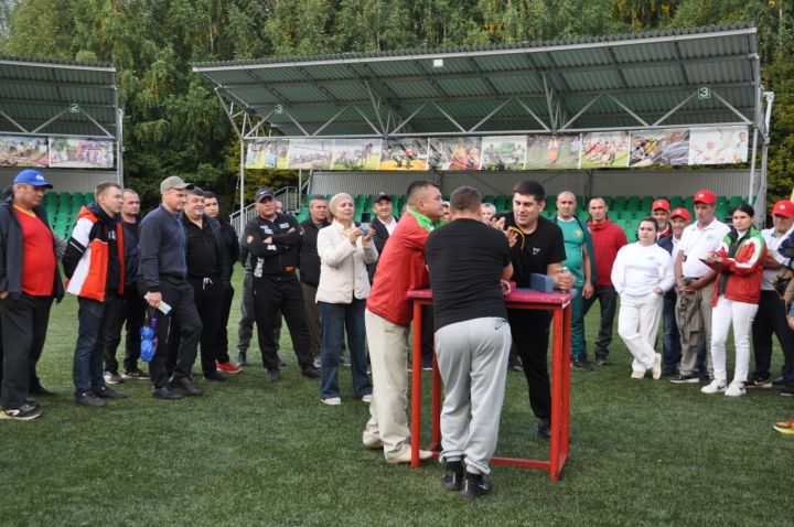 Өйләрне генә түгел, күңелләрне дә җылытучылар