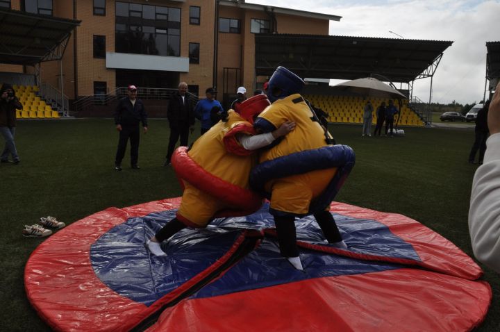 Өйләрне генә түгел, күңелләрне дә җылытучылар