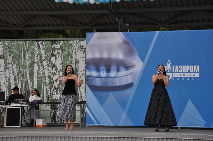 Өйләрне генә түгел, күңелләрне дә җылытучылар