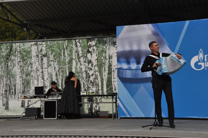 Өйләрне генә түгел, күңелләрне дә җылытучылар