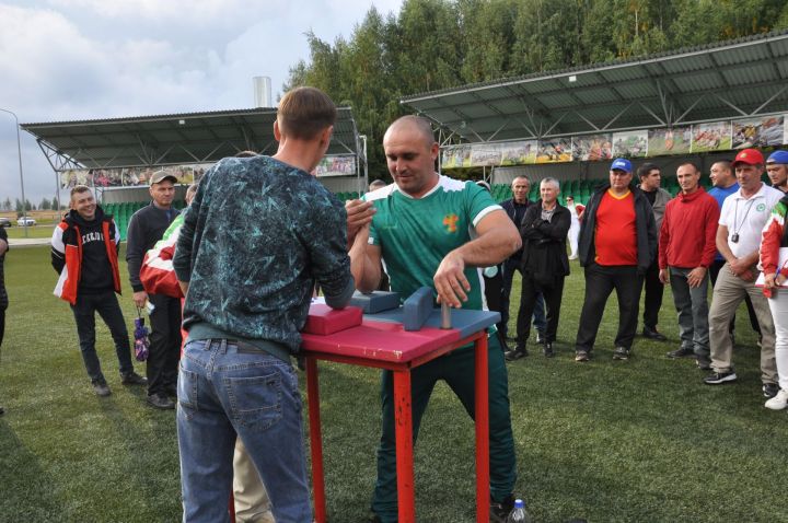 Өйләрне генә түгел, күңелләрне дә җылытучылар