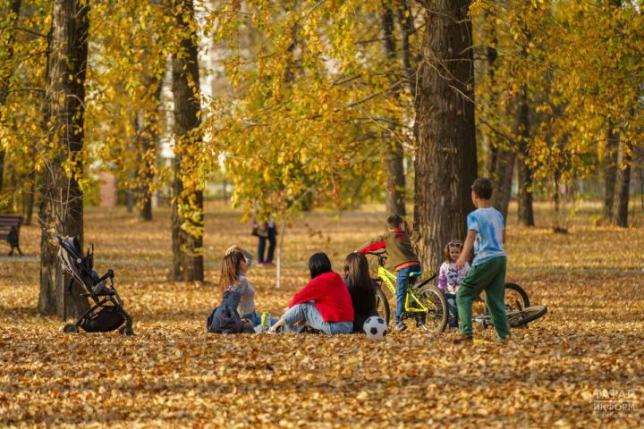 Россия халкын ноябрьдә 20 эш һәм 10 ял көне көтә