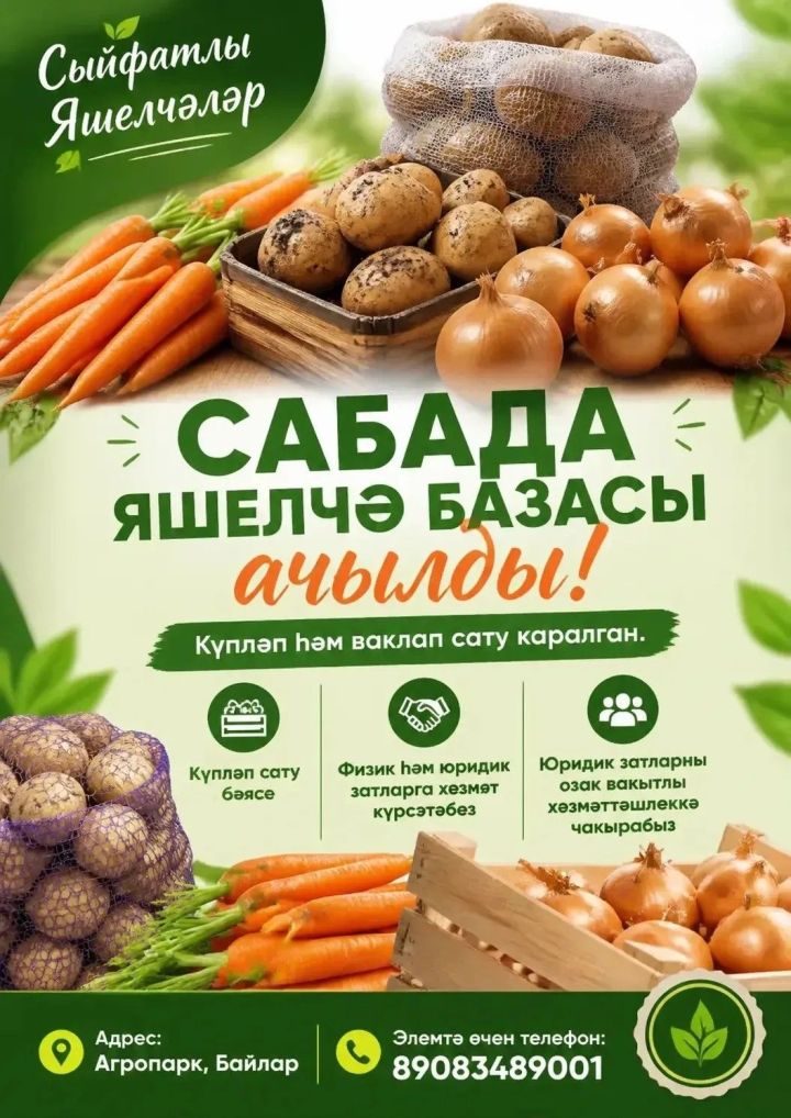 Сабада яшелчә базасы ачылды