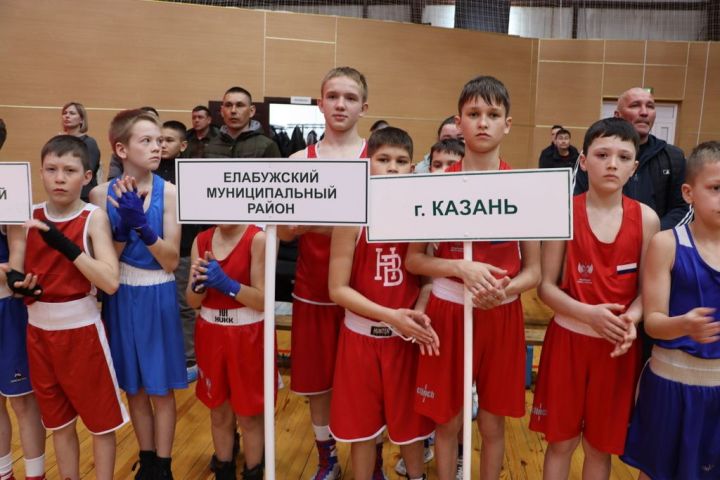 «Мин бармасам, апалар барсынмы, әниләр  сугышсынмы, мин кала алмыйм»