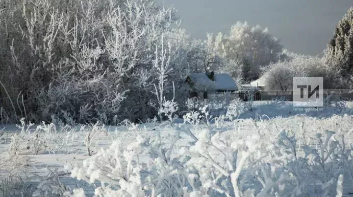 Бүген Сабада  −28° градуска кадәр суыта