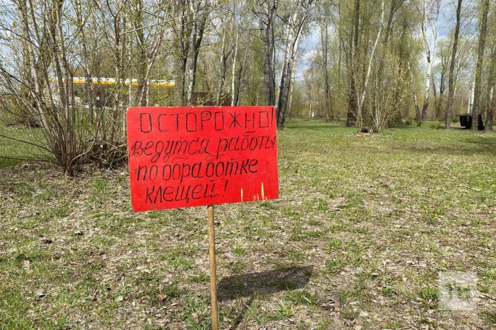 Талпан тешләсә, нишләргә?