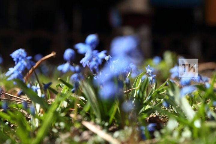 Май бәйрәмнәре татарстанлыларга 12 ял көне бүләк итәчәк