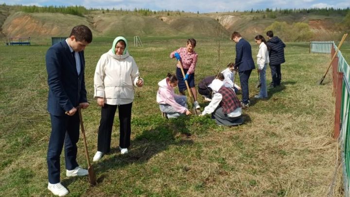 Кибәчелеләр «Хәтер бакчасы» акциясенә актив кушылды