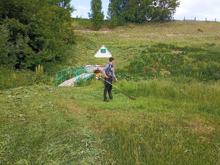 Югары Симет авыл җирлеге территориясендә үлән чабу