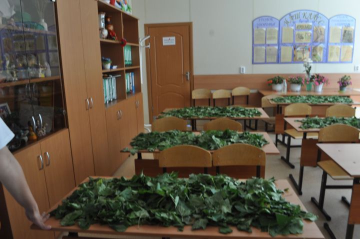 “Дуслык”тан башланган дуслык