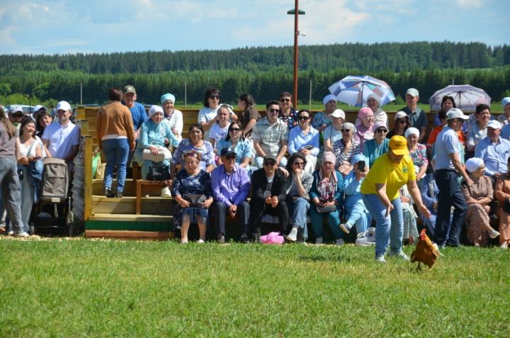 Тауга  каршы  йөгерү, тимер атка  атлану, пленка эченнән мүкәләү – болар барысы да Иләбәр  Сабантуенда гына