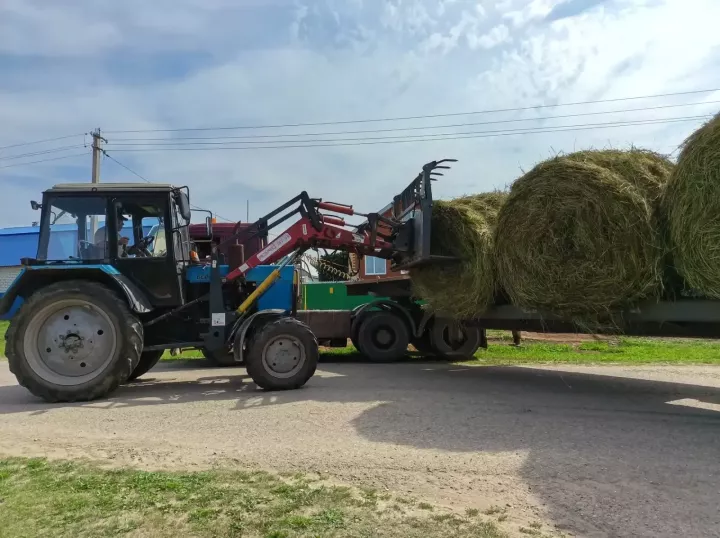 «Игенче» җаваплылыгы чикләнгән җәмгыяте  үз хезмәткәрләрен печән белән тәэмин итте/фоторепортаж