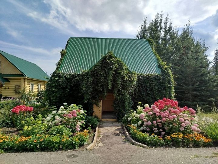 Лесхоз бистәсенең дендрология бакчасында чәчәк әкияте/фоторепортаж