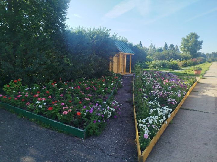 Лесхоз бистәсенең дендрология бакчасында чәчәк әкияте/фоторепортаж