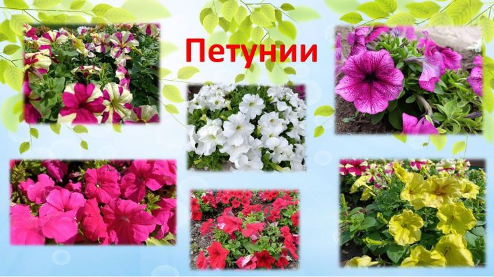 Югары Утар интернатында гүзәллек дөньясы/фоторепортаж