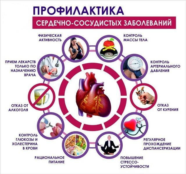 Сәламәт йөрәк — озак яшәү нигезе: профилактика атналыгы кагыйдәләре