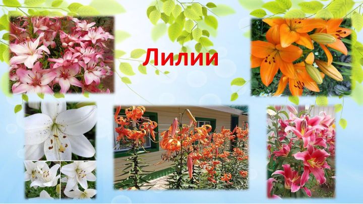 Югары Утар интернатында гүзәллек дөньясы/фоторепортаж
