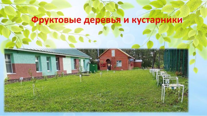 Югары Утар интернатында гүзәллек дөньясы/фоторепортаж