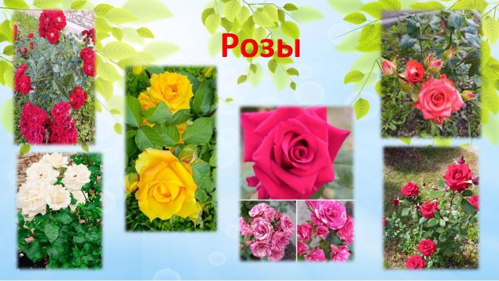 Югары Утар интернатында гүзәллек дөньясы/фоторепортаж