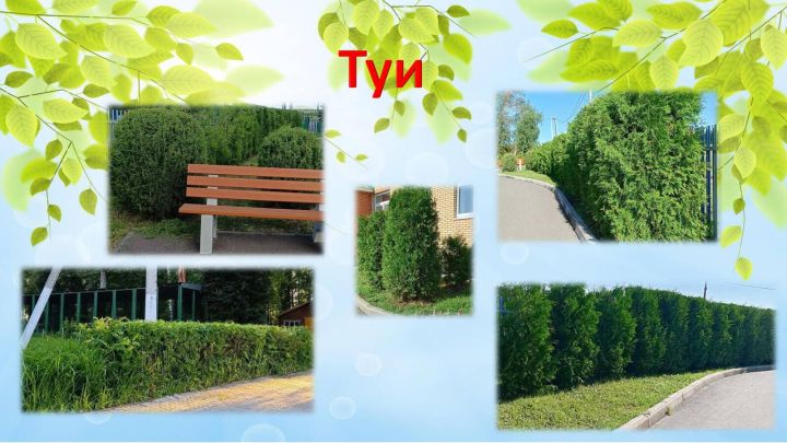 Югары Утар интернатында гүзәллек дөньясы/фоторепортаж