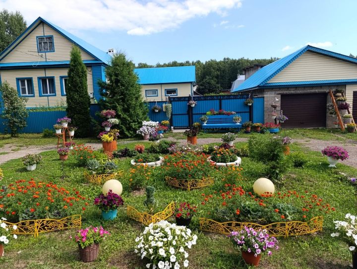 Лесхоз бистәсендә Евдокимовлар гаиләсенең чәчәк бакчасы