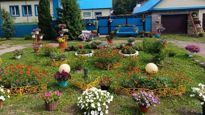 Лесхоз бистәсендә Евдокимовлар гаиләсенең чәчәк бакчасы
