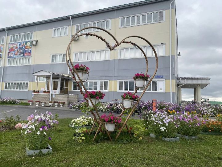 Матурлык кайгыртудан башлана! «Бассейн-Чәчәкле Саба 2026» фоторепортаж