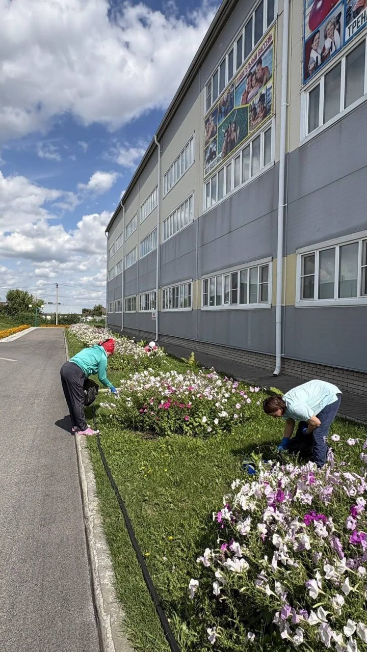 Матурлык кайгыртудан башлана! «Бассейн-Чәчәкле Саба 2026» фоторепортаж