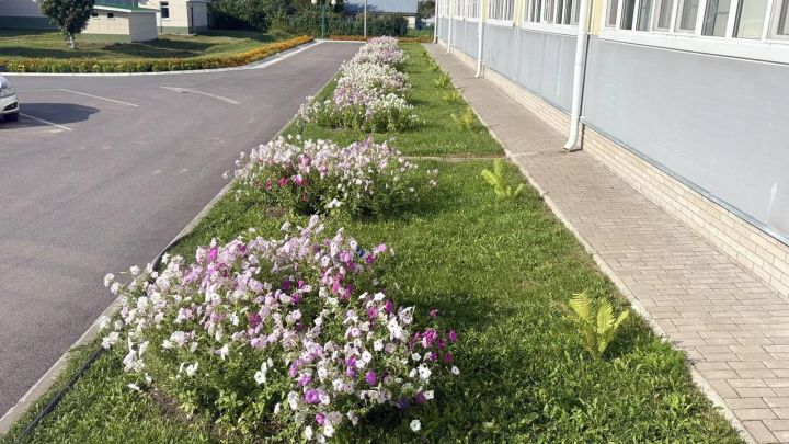 Матурлык кайгыртудан башлана! «Бассейн-Чәчәкле Саба 2026» фоторепортаж