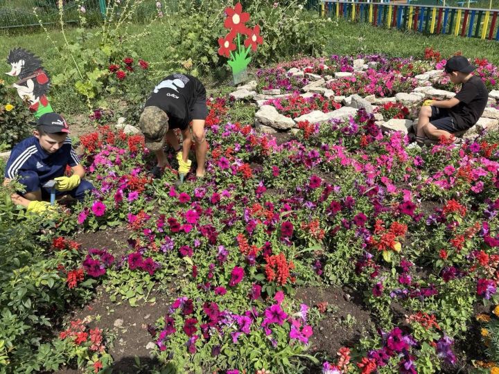 «Тургай» приютында хезмәт тәрбиясе: балалар теплицаларда мул уңыш үстерәләр