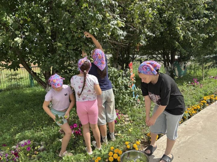«Тургай» приютында хезмәт тәрбиясе: балалар теплицаларда мул уңыш үстерәләр