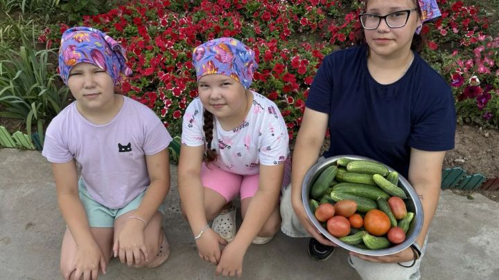 «Тургай» приютында хезмәт тәрбиясе: балалар теплицаларда мул уңыш үстерәләр