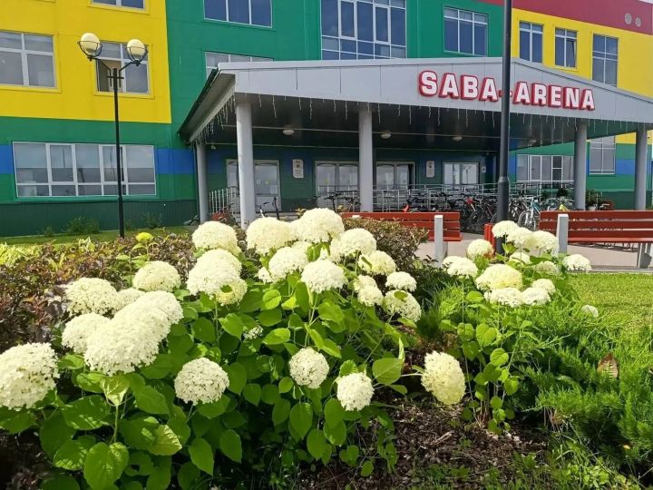 «Саба-Арена» территориясе гүзәллеккә күмелде: спорт комплексы янында зур чәчәк бакчасы барлыкка килде