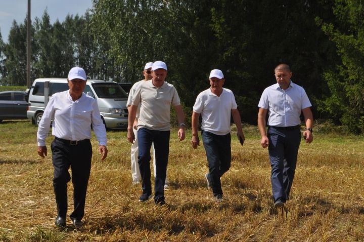 Бүген “Олимп”стадионында «КОМОС ГРУПП» агрохолдингының XVI хезмәт коллективлары Спартакиадасының җәйге этабы уздырылды
