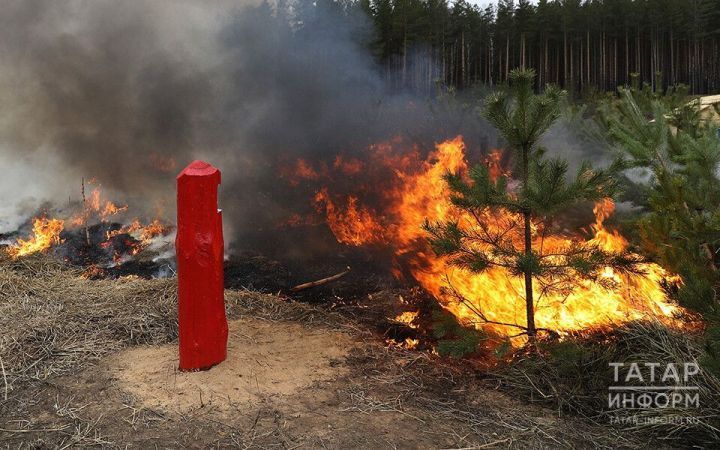 Татарстанда ел башыннан урман фонды чикләрендә 224 янгын сүндерелгән
